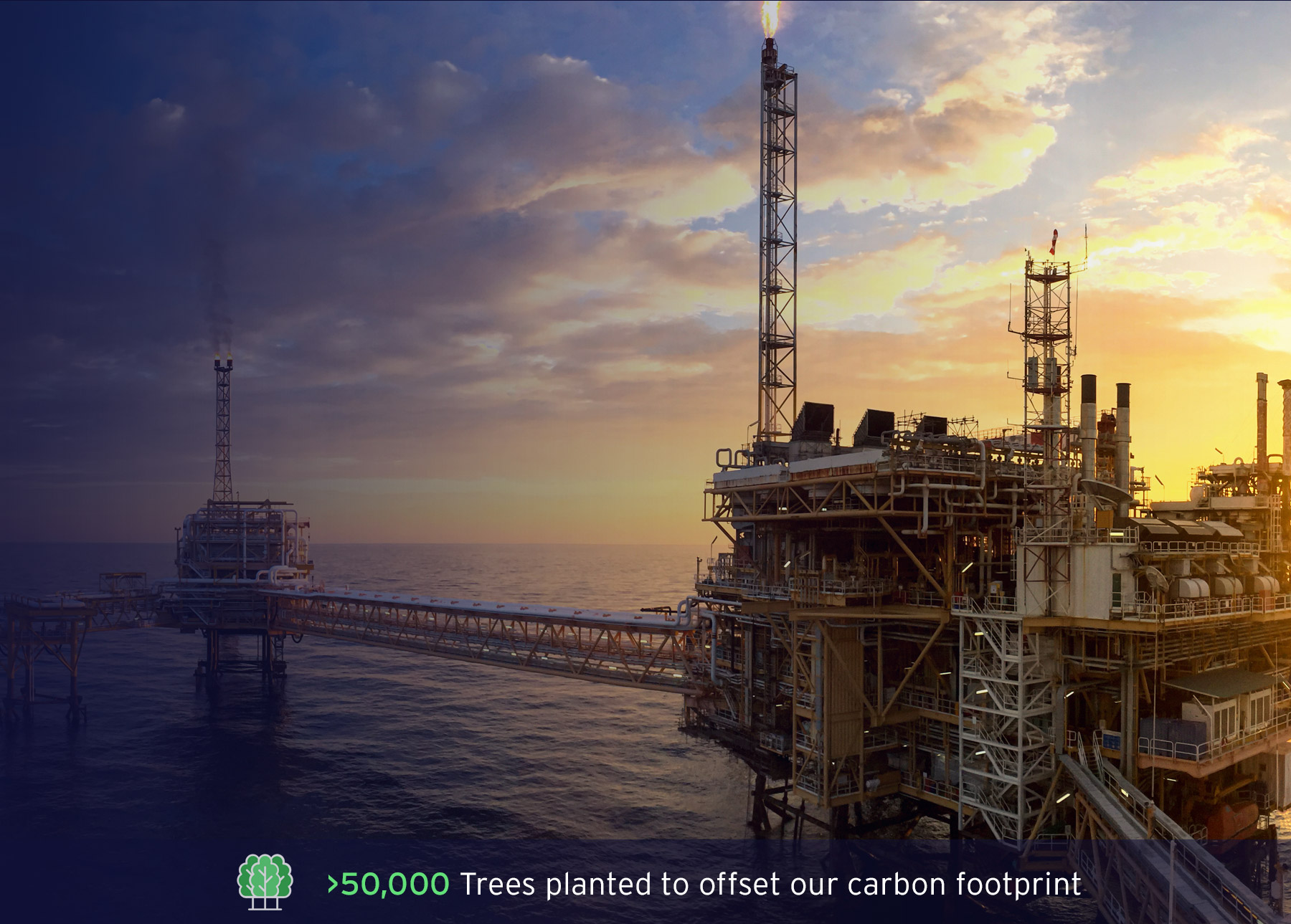 Offshore Oils Banner